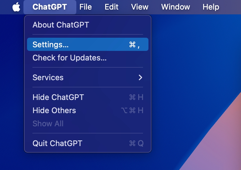 How to Get and Use ChatGPT macOS App 7 ChatGPT Settings on Mac